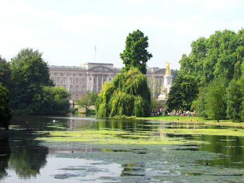 Buckingham (3)